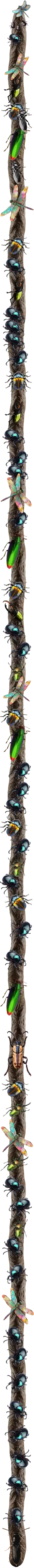 Long scroll